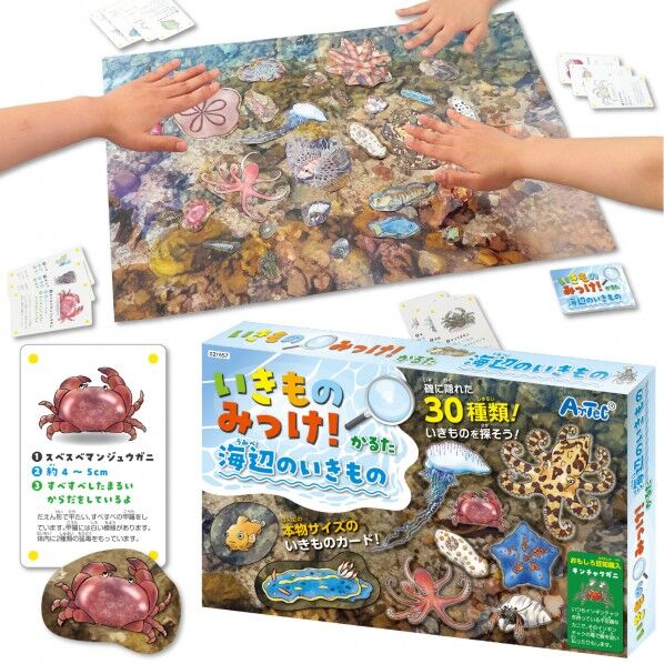 いきものみっけ!かるた うみべのいきもの