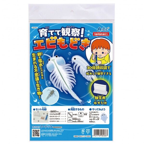 育てて観察!エビもどき 58486 1セット