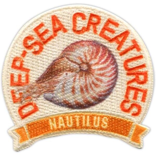 パイオニア 「学研の図鑑LIVE」深海生物 (オウムガイ) アイロン・シール両用接着ワッペン