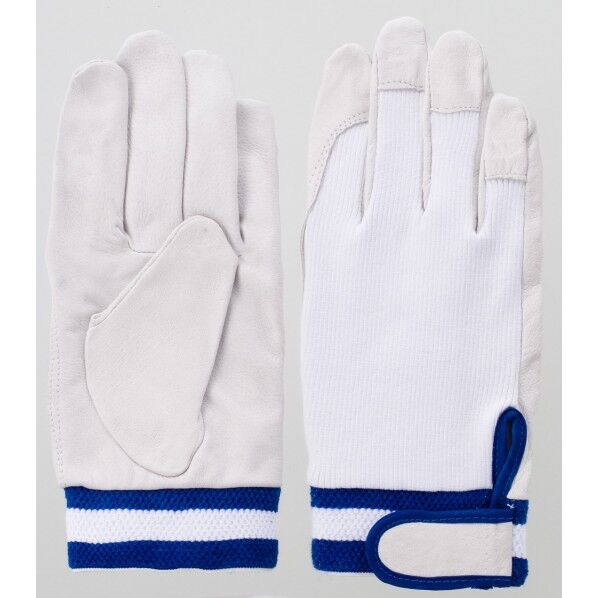 #5984 3-234 M 得ダネパック3双組