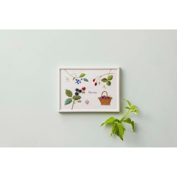 ルシアン 青木和子 お庭のスケッチブック(庭のベリー)