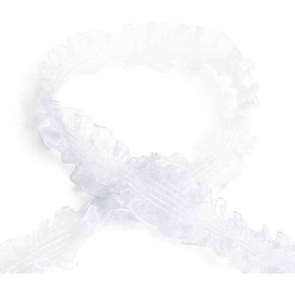 Blanc de コア リボン Nゴム入オーガンジー No.9750-11 24mm×5m