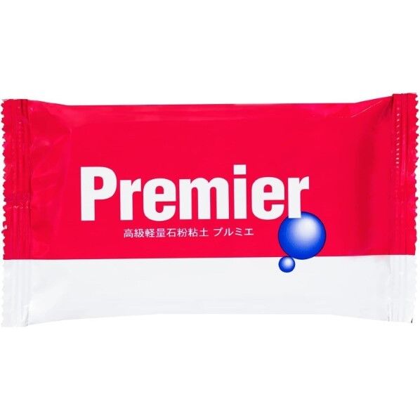 パジコ 石塑粘土 プルミエ 100g 日本製 303297
