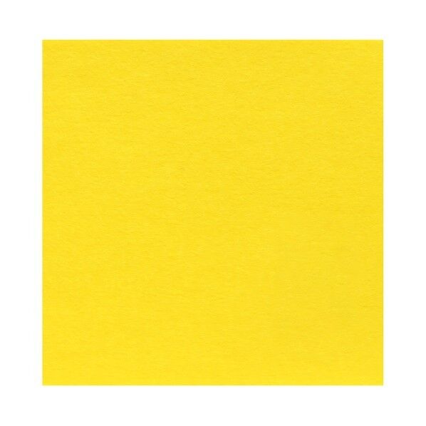 サンフェルト フェルト 40cm角 5枚入