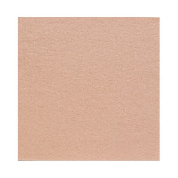 サンフェルト フェルト 40cm角 5枚入