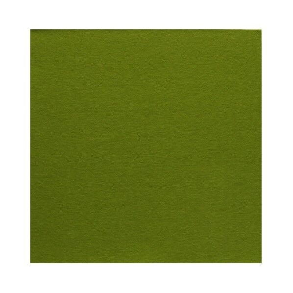 サンフェルト フェルト 40cm角 5枚入