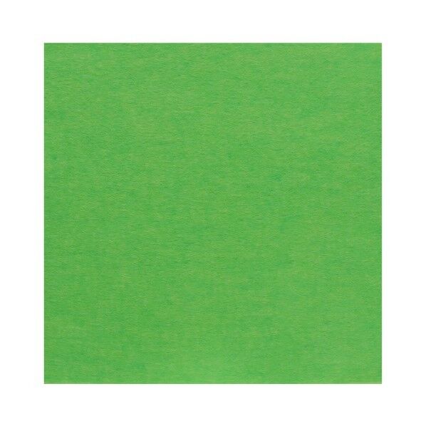 サンフェルト フェルト 40cm角 5枚入