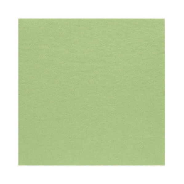 サンフェルト フェルト 40cm角 5枚入