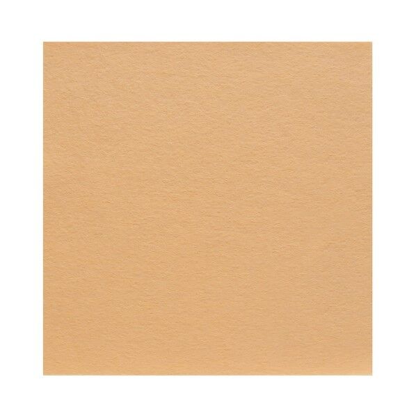 サンフェルト フェルト 40cm角 5枚入