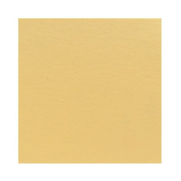 サンフェルト フェルト 40cm角 5枚入