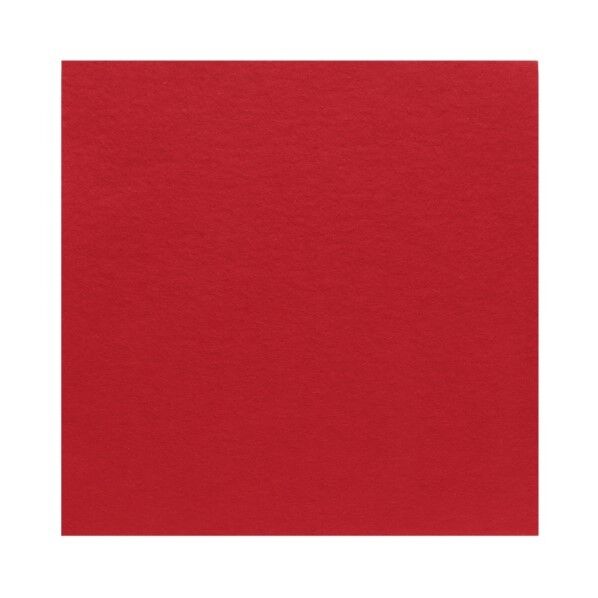 サンフェルト フェルト 40cm角 5枚入