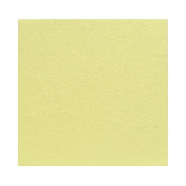 サンフェルト フェルト 40cm角 5枚入