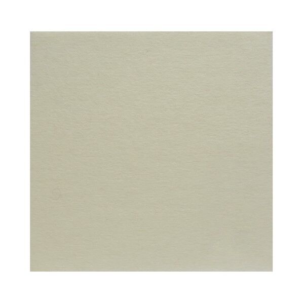 サンフェルト フェルト 40cm角 5枚入