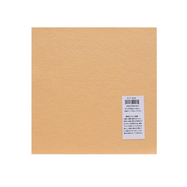 サンフェルト フェルト 20cm角 5枚入