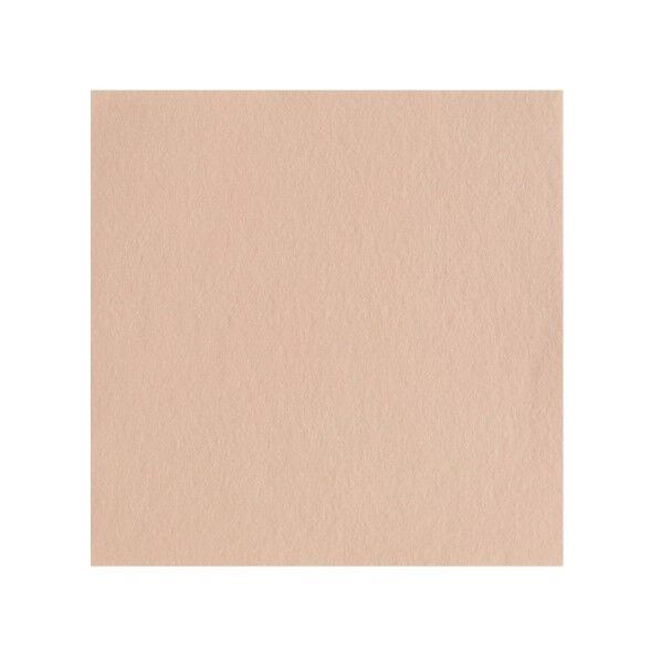 サンフェルト ワンタッチフェルト シールタイプ 18cm角 5枚入