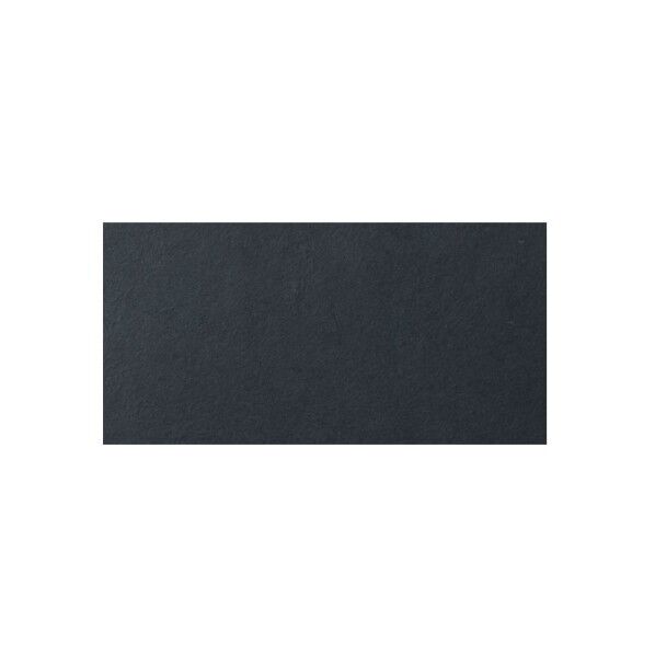 ブラックスカラー アブソレート・ブラック