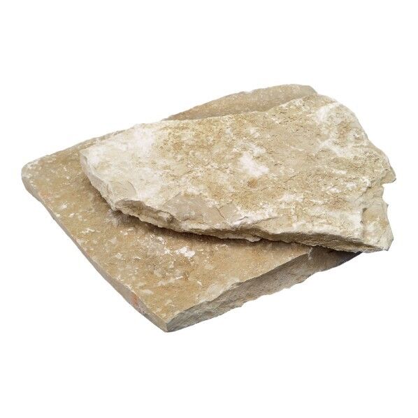 ブルゴーニュ 乱形