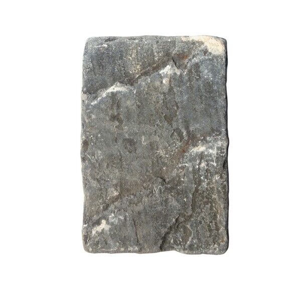 クラシコアンティコ