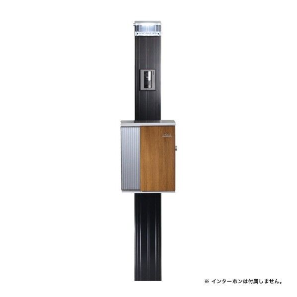 リエル・レイ-ブラック タイプ3