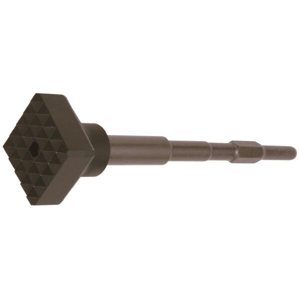 面荒し（ビシャン）