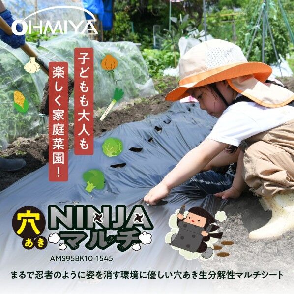 オーミヤ 穴あきNINJAマルチ10m 923060 ブラック AMS95BK10-3060 1個