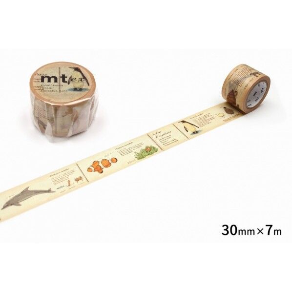 mt ex 図鑑･海洋生物