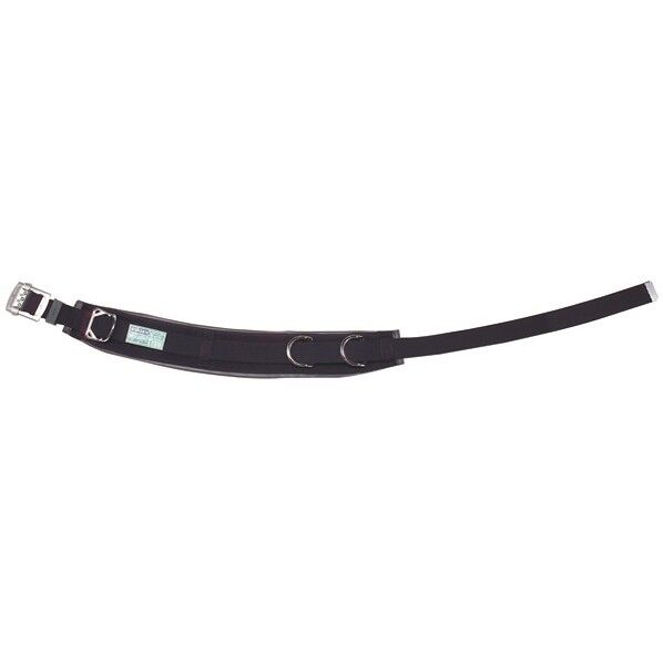 DB-R96DS-BKL