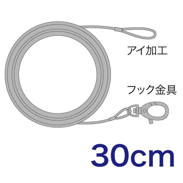 STM-WR030F 1点