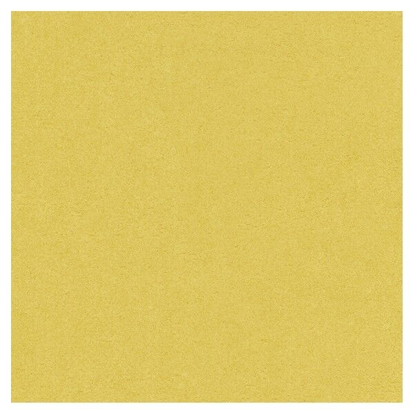 壁紙 ビッグエース ダブル消臭