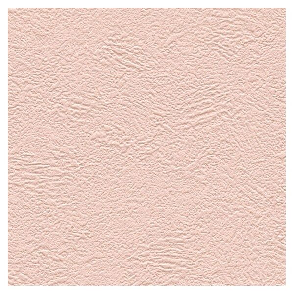 壁紙 ビッグエース ダブル消臭