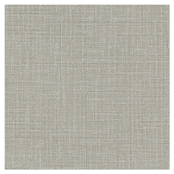 壁紙 ビッグエース ダブル消臭