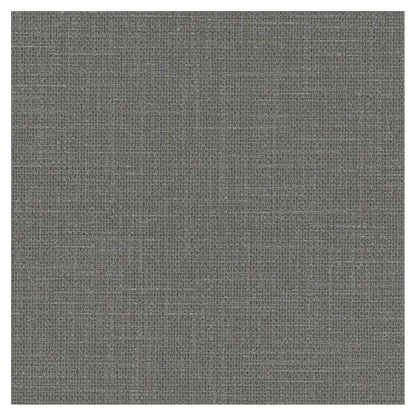 壁紙 ビッグエース ダブル消臭