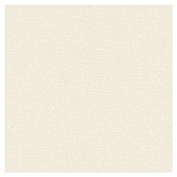 壁紙 ビッグエース ダブル消臭