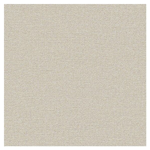 壁紙 ビッグエース ダブル消臭