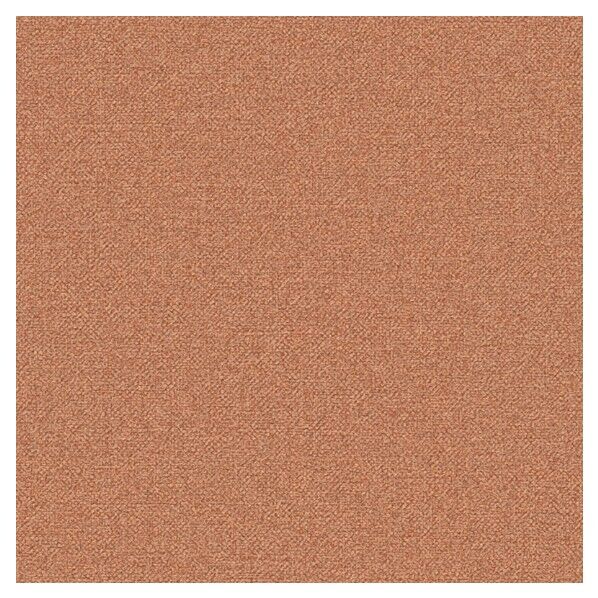 壁紙 ビッグエース ダブル消臭