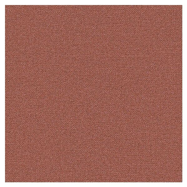 壁紙 ビッグエース ダブル消臭