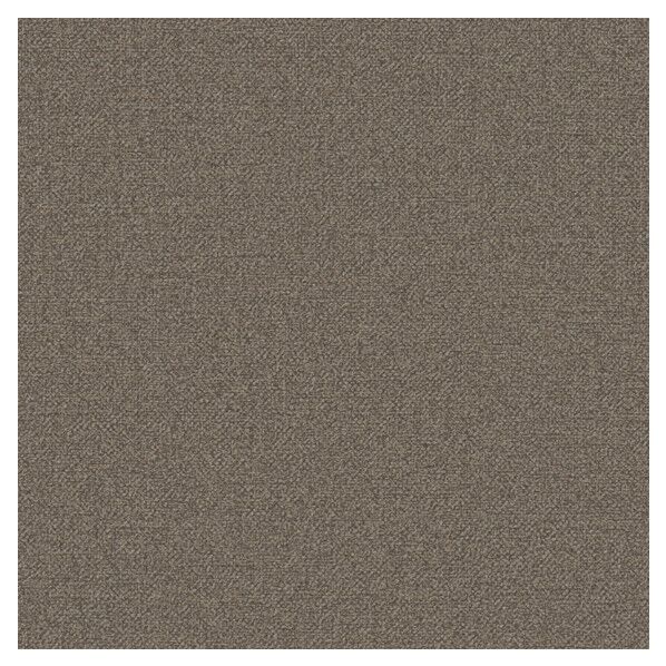 壁紙 ビッグエース ダブル消臭