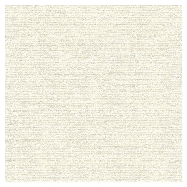 壁紙 ビッグエース ダブル消臭