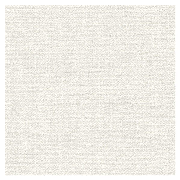 壁紙 ビッグエース ダブル消臭