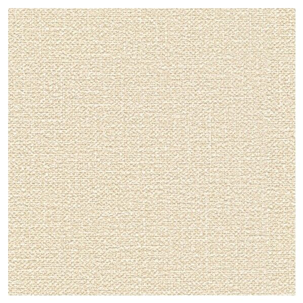 壁紙 ビッグエース ダブル消臭