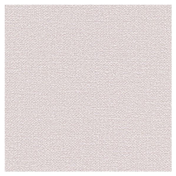 壁紙 ビッグエース ダブル消臭