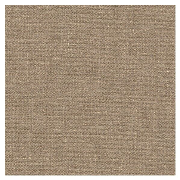 壁紙 ビッグエース ダブル消臭