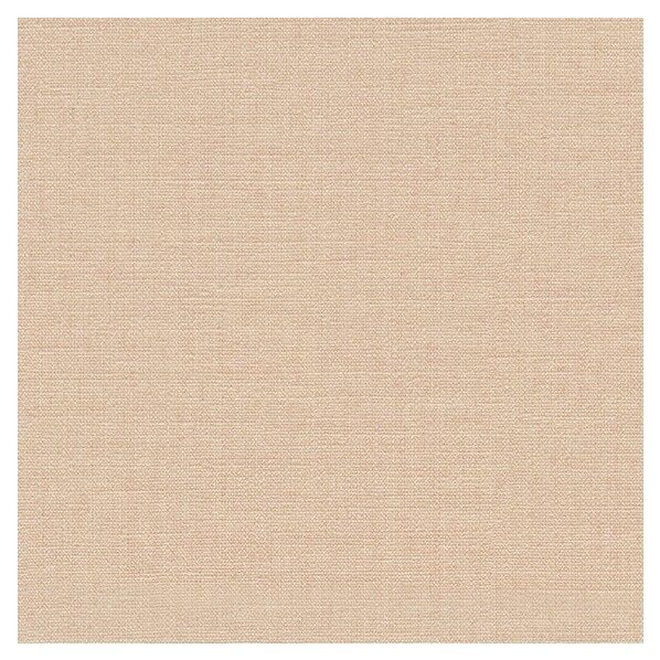 壁紙 ビッグエース ダブル消臭