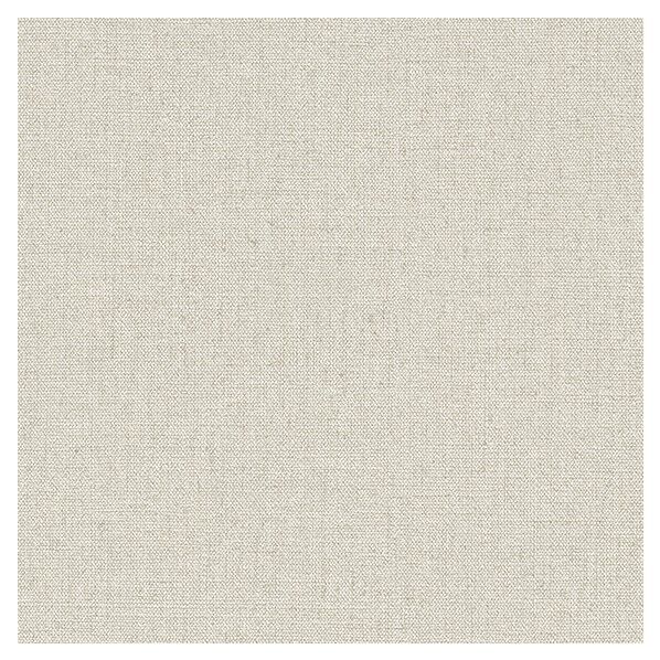 壁紙 ビッグエース ダブル消臭