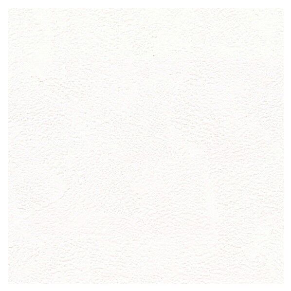 壁紙 ビッグエース 抗アレル物質