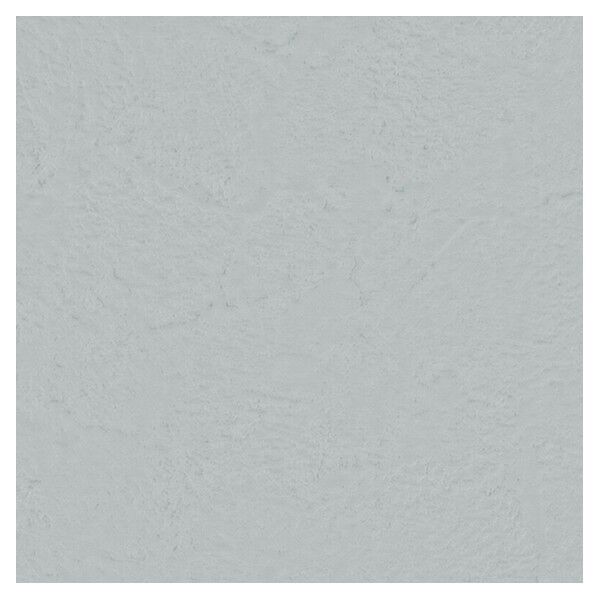 壁紙 ビッグエース 抗アレル物質