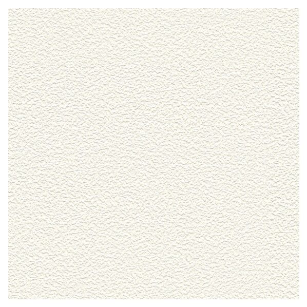 壁紙 ビッグエース 抗アレル物質