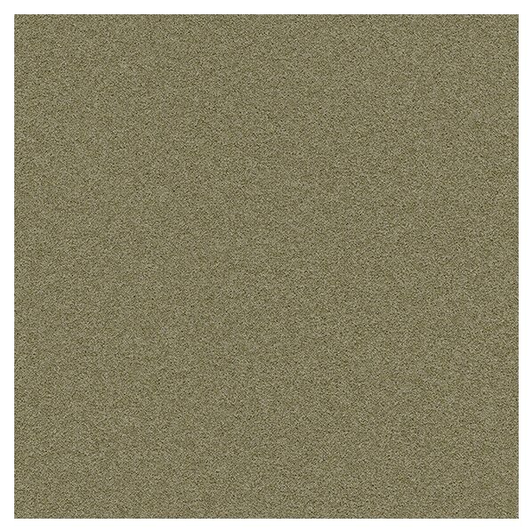 壁紙 ビッグエース 調湿