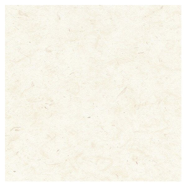 壁紙 ビッグエース 耐久性