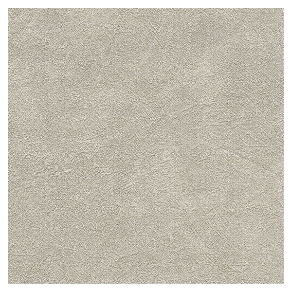 壁紙 ビッグエース ペット生活